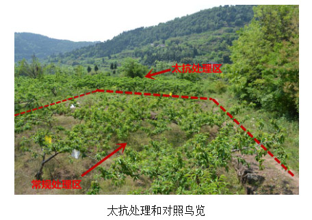 1513328908647997a0GA.jpg TIM截圖20171215170158.jpg