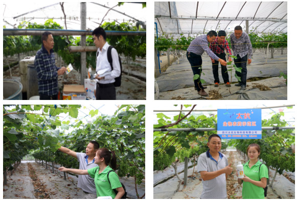 1513330081177633gFIW.jpg TIM截圖20171215172350.jpg