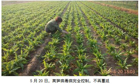 1513332979277167Lj4W.png blob.png