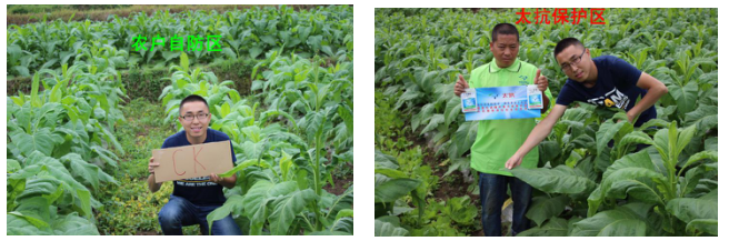 1513333604448369rV9j.png blob.png