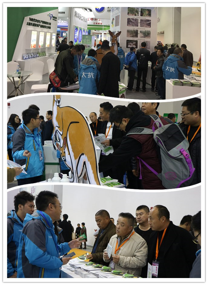 1514433425310353sAPI.jpg 1副本.jpg