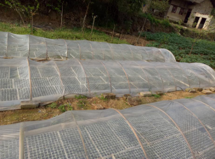 1515668029745771M1LC.png blob.png