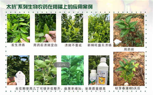 1526347009121518Hvxy.png 圖片6_副本.png