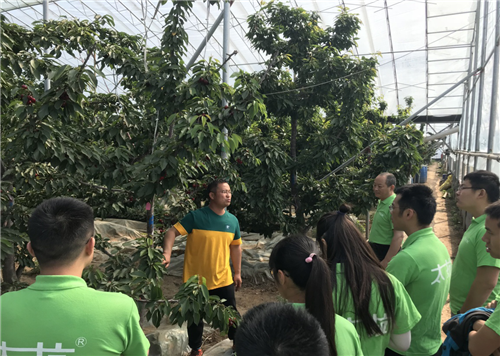 1527752130778283WYuo.png 圖片1.png