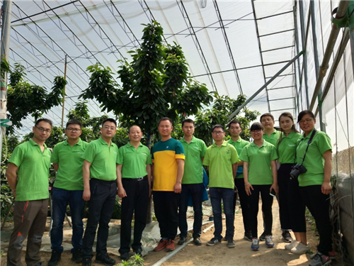 1527752281862675el4C.png 圖片5.png