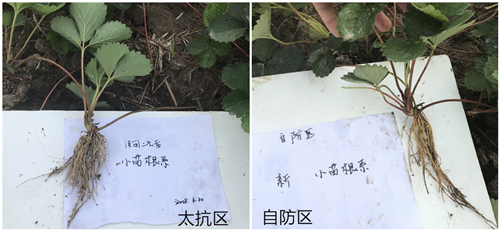 15300850041047390AI4.png 圖片9.png