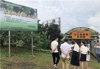 1533177633560682u3j6.png 圖片8.png