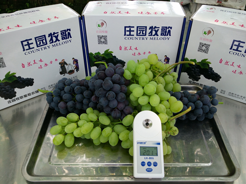 1555051831695759xU3w.png 圖片8.png