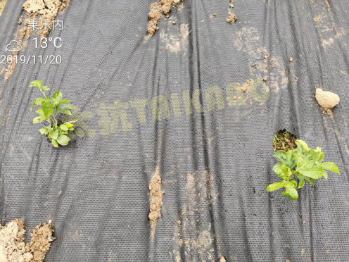 1576542642478626Hn87.png 圖片3_副本.png