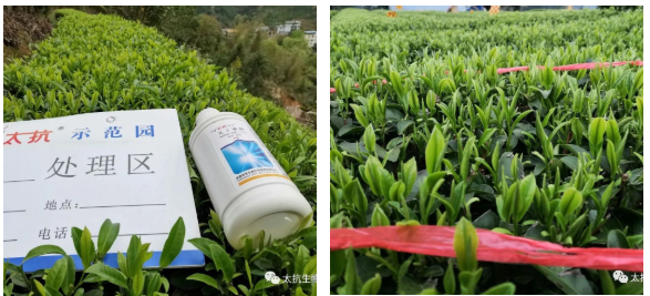 1587374135766084JkJ9.png image.png