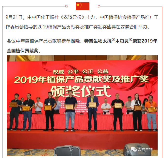 1610506328101880RCk0.png blob.png