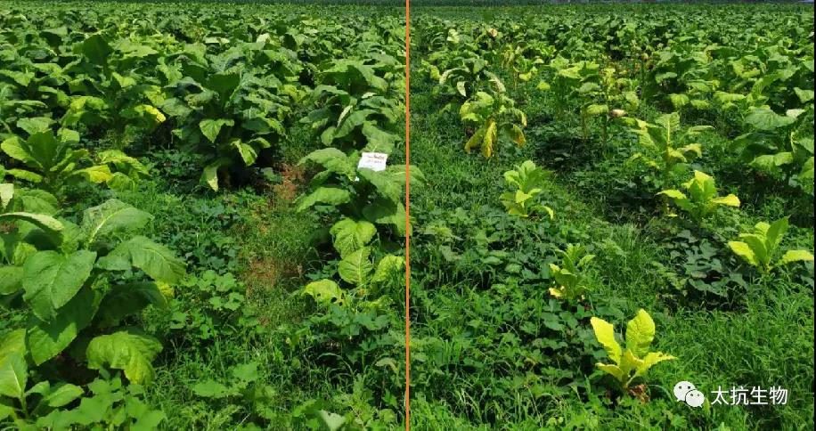 16348264206657454Wxw.jpg 微信圖片_20211021221521.jpg