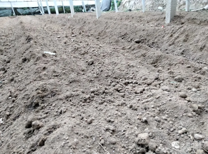 1638348324205148a7PY.png 2.png